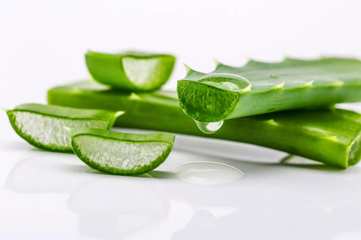 bienfaits de l'aloe vera